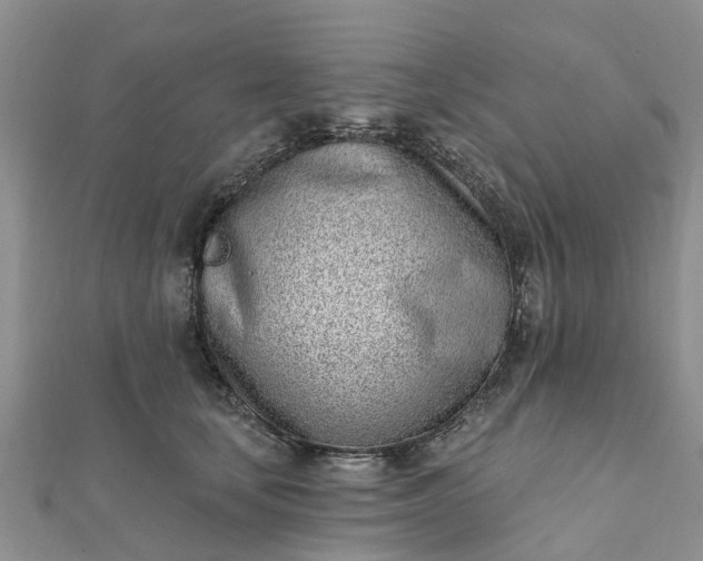 X0000112080659200908181243