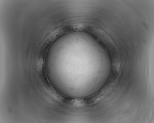 X0000112080660200908181243