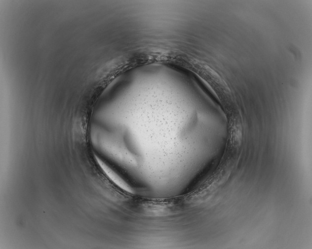 X0000112080661200908181243