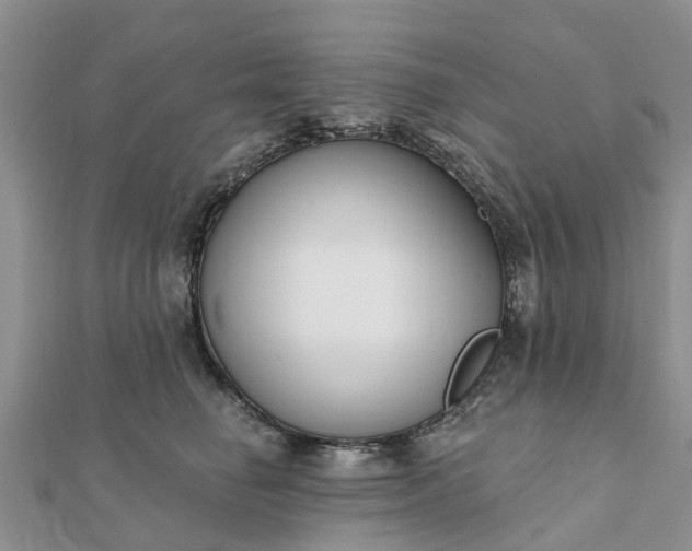 X0000112080662200908181243