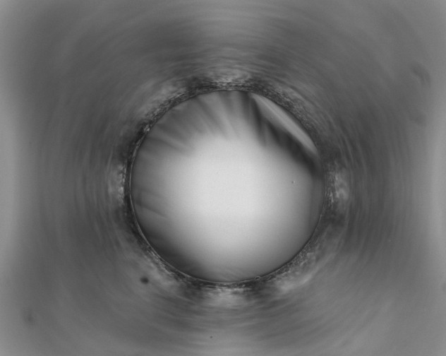 X0000112080664200908181243