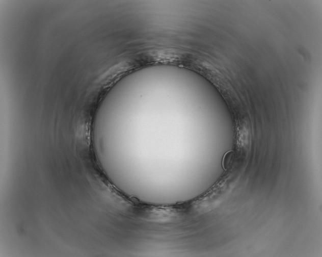 X0000112080666200908181243