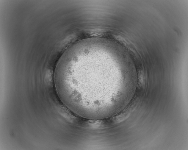 X0000112080667200908181243