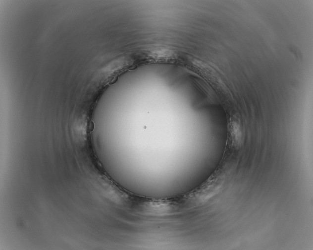 X0000112080668200908181243