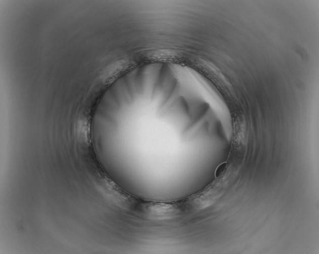 X0000112080669200908181243