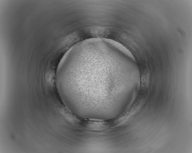 X0000112080671200908181243