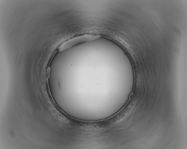 X0000112080673200908181242