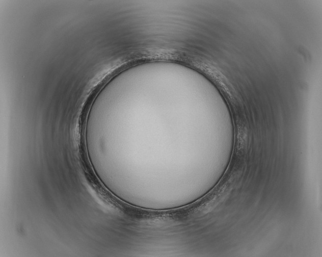 X0000112080674200908181242