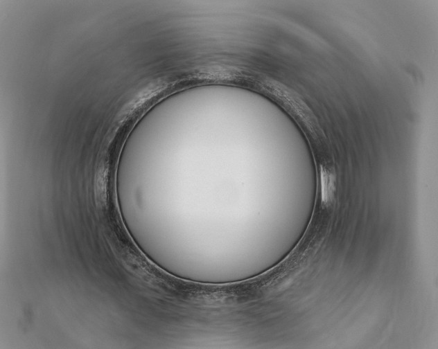 X0000112080675200908181242