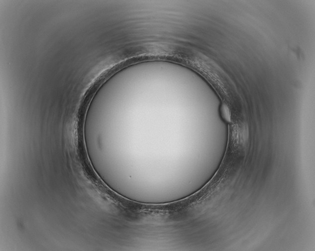 X0000112080676200908181242