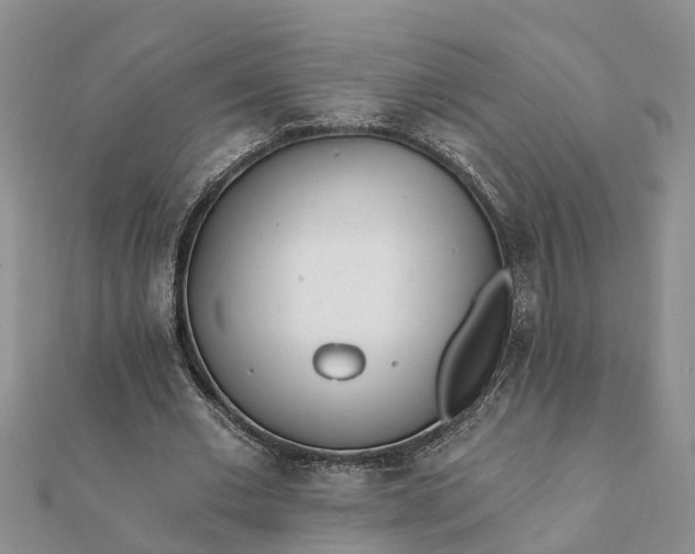 X0000112080677200908181242