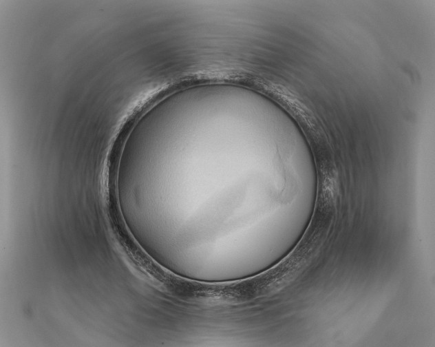 X0000112080678200908181242