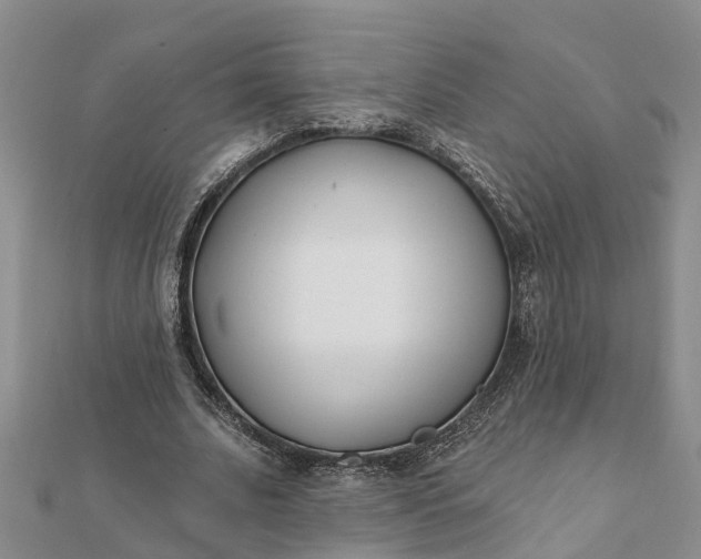 X0000112080679200908181242