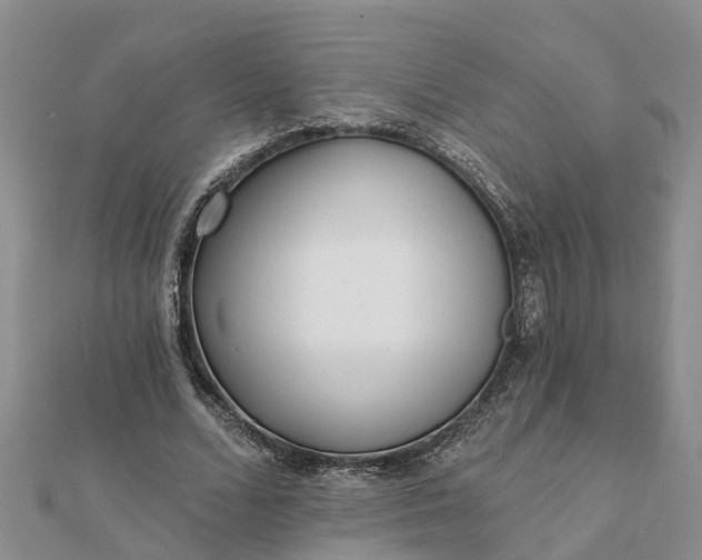 X0000112080680200908181242