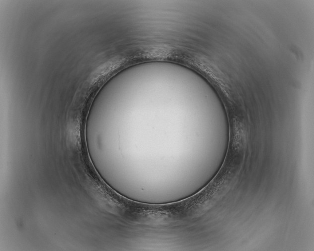 X0000112080681200908181242