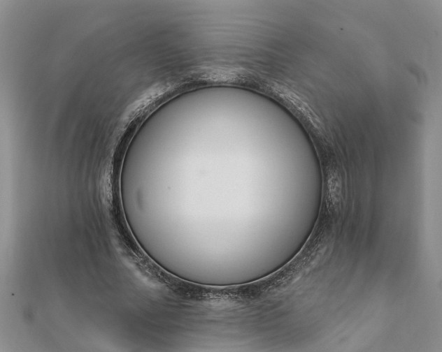 X0000112080682200908181242