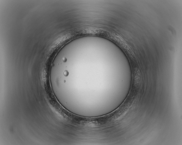 X0000112080683200908181242