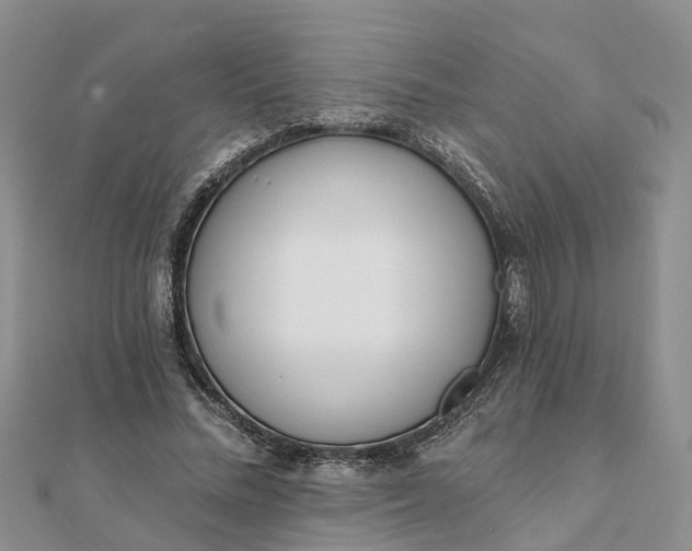 X0000112080684200908181242