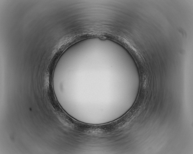 X0000112080685200908181242