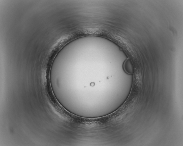 X0000112080686200908181242