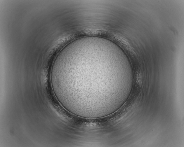 X0000112080687200908181242