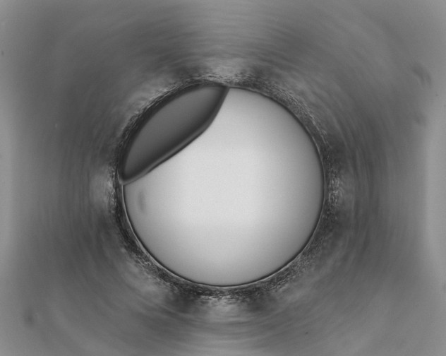 X0000112080688200908181242