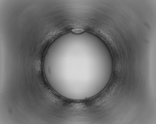 X0000112080689200908181242