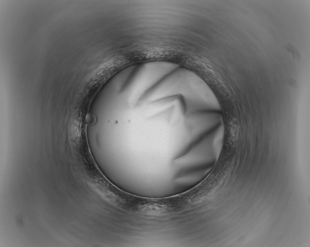 X0000112080691200908181242