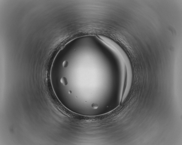 X0000112080692200908181242