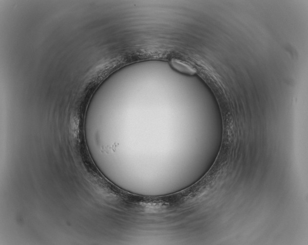 X0000112080693200908181242