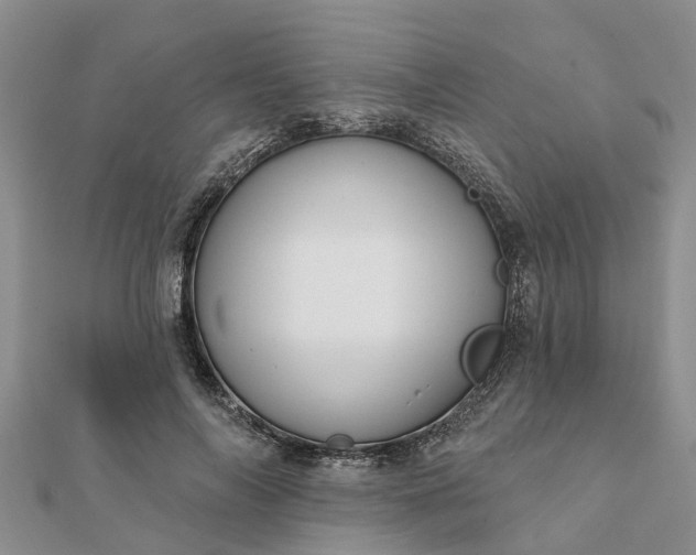 X0000112080694200908181242