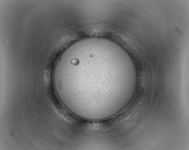 X0000112080695200908181242