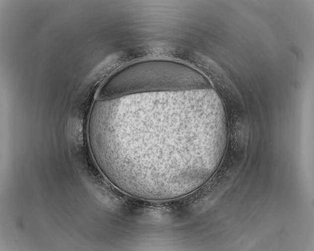 X0000112080696200908181242