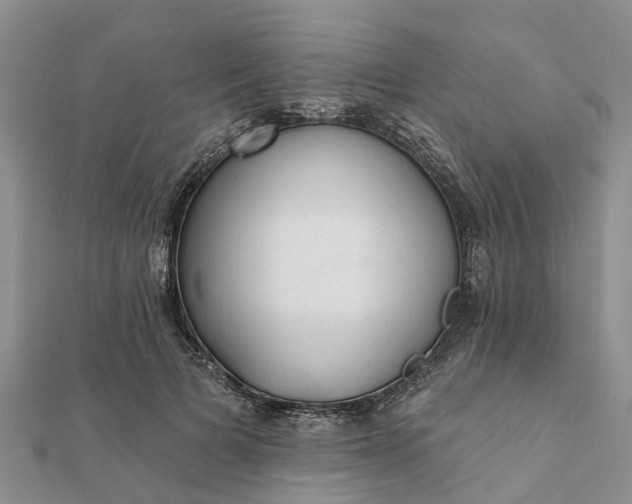 X0000112080697200908181242