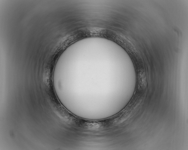 X0000112080698200908181242