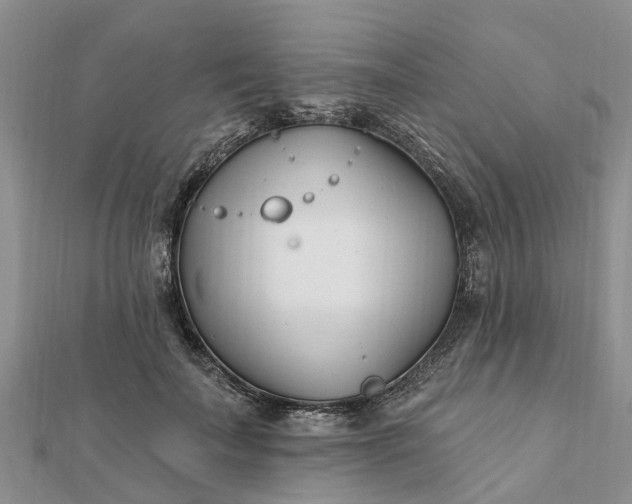 X0000112080699200908181242