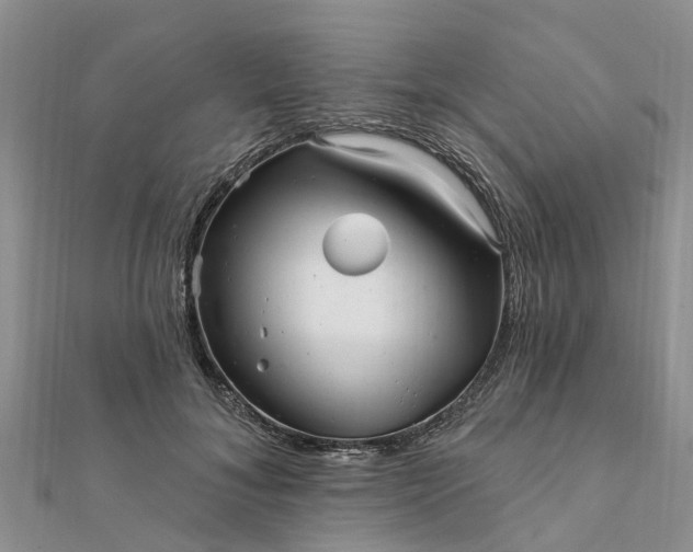 X0000112080700200908181242