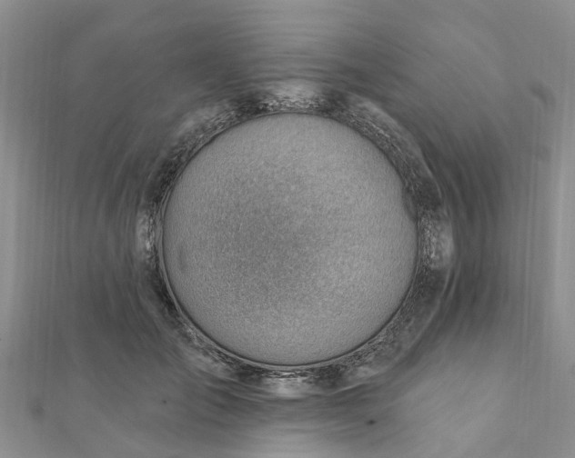 X0000112080701200908181242