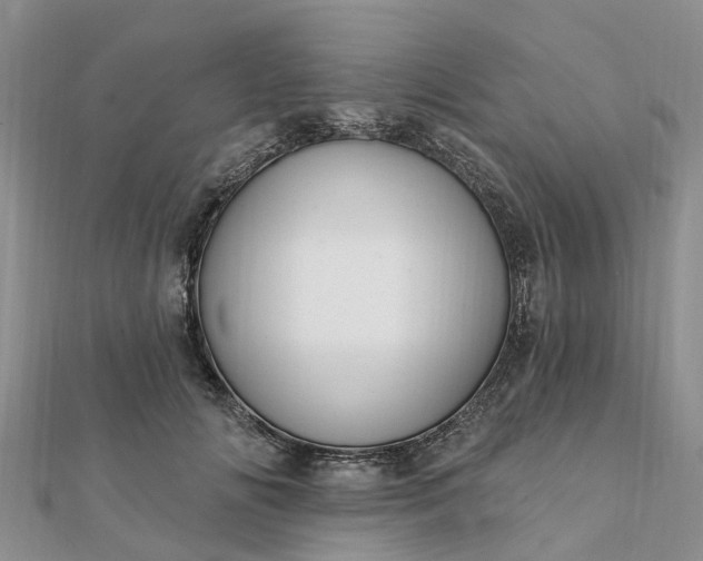 X0000112080702200908181242