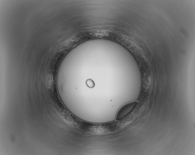 X0000112080704200908181242