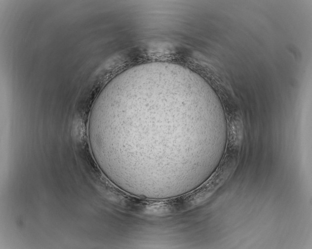 X0000112080705200908181242