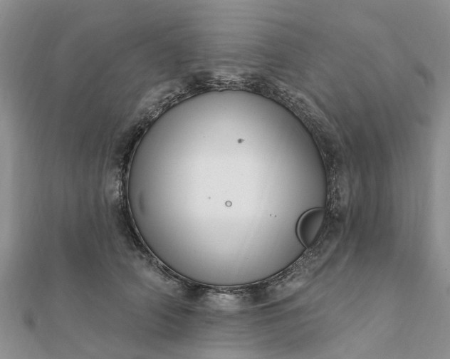 X0000112080706200908181242