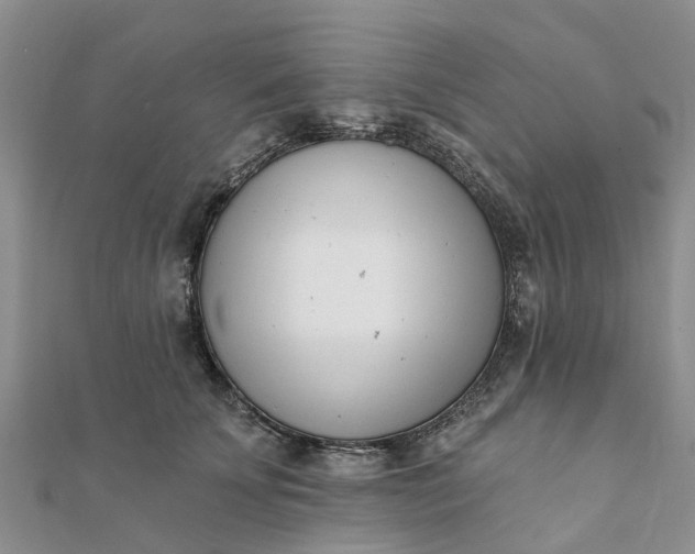 X0000112080707200908181242