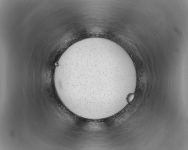 X0000112080708200908181242