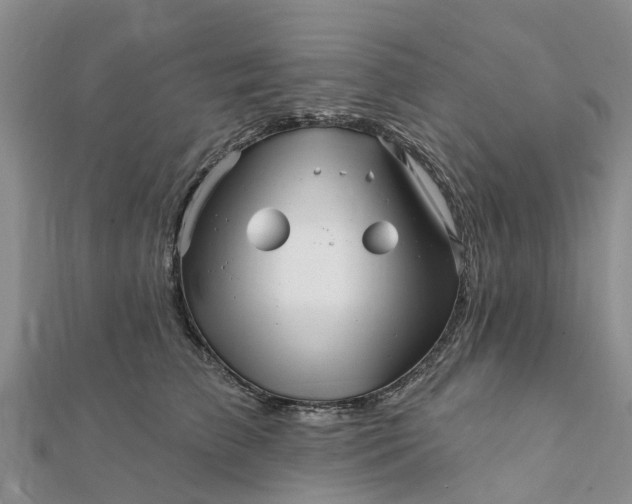 X0000112080709200908181242