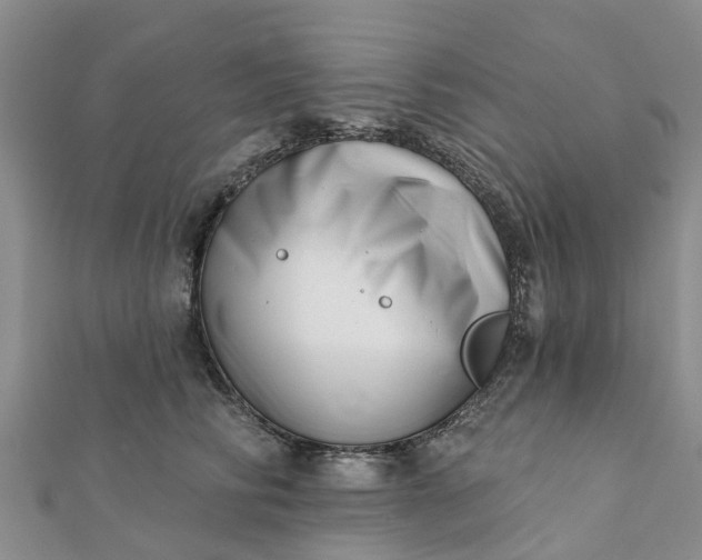 X0000112080710200908181242