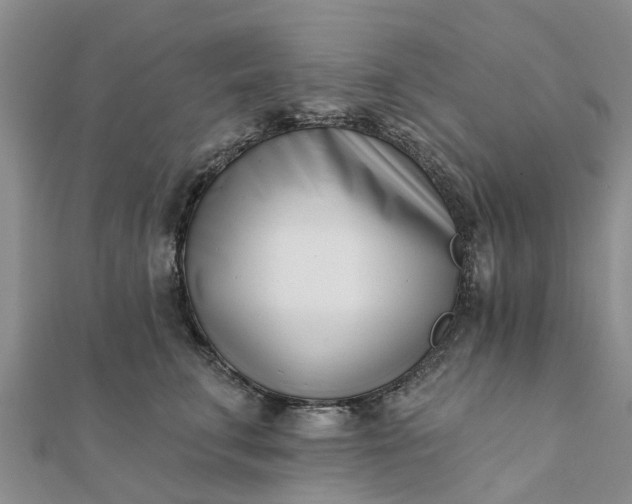 X0000112080711200908181242