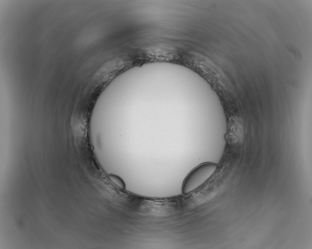 X0000112080713200908181242