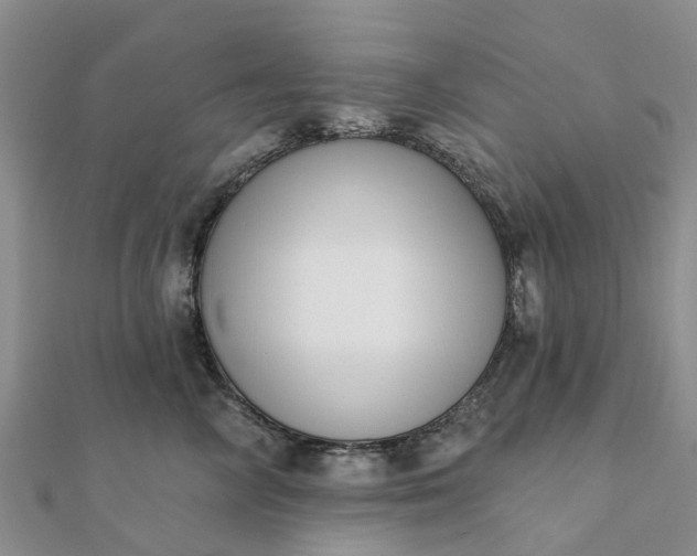 X0000112080714200908181242