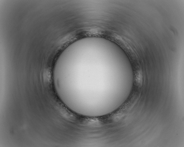 X0000112080715200908181242